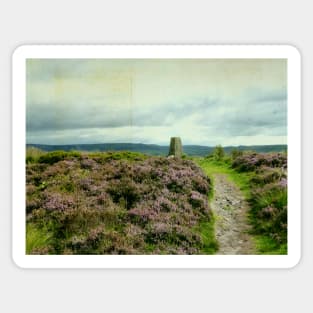 The Trig Point @ Cobden Edge Sticker